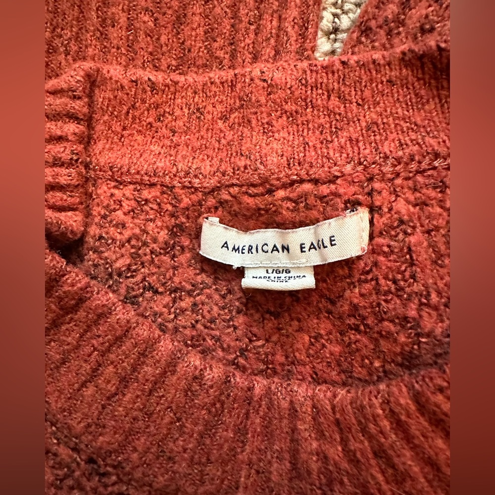 American eagle Burnt Orange L sweater
